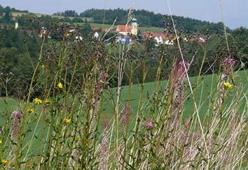 Affittacamere Landgasthof Am Sonnenhang Vohenstrauss